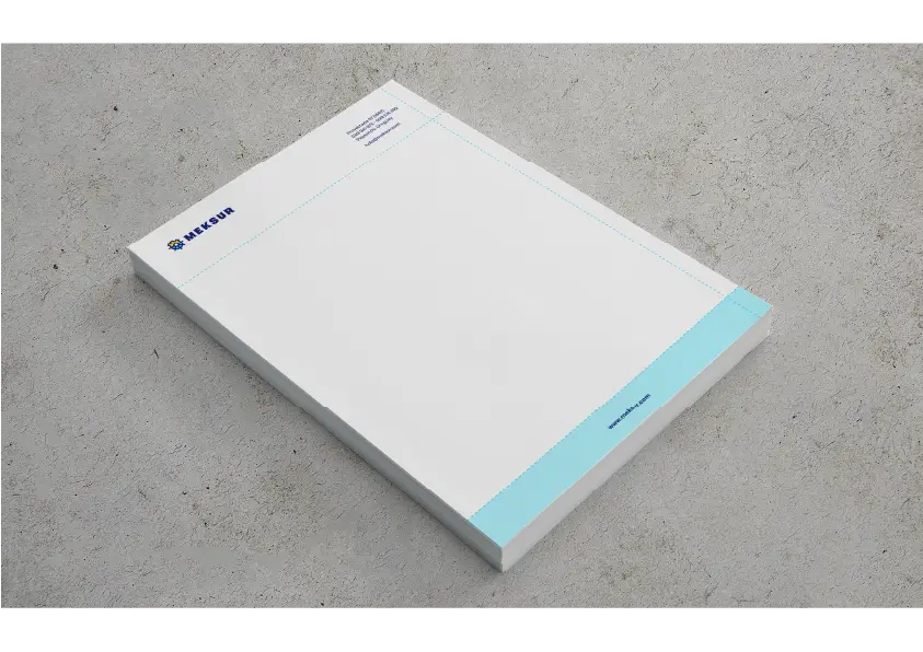 メクスール letterhead mockup